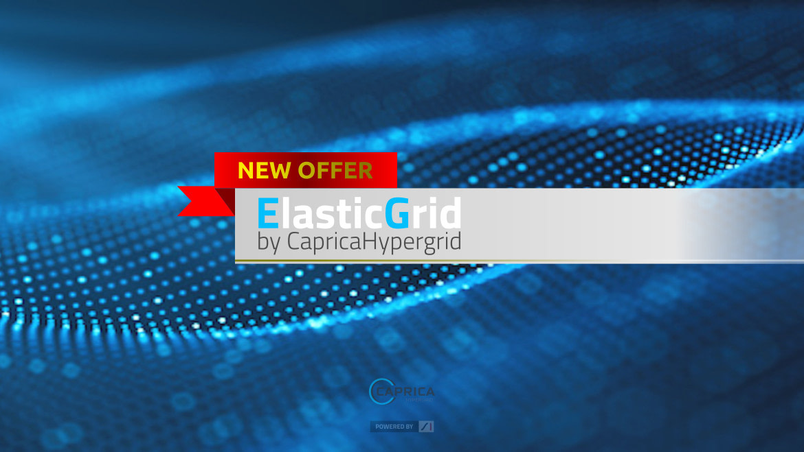Meet the new offer – “Elastic Grid”!